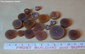 Various paint samples as seen mounted in blocks of polyester resin.